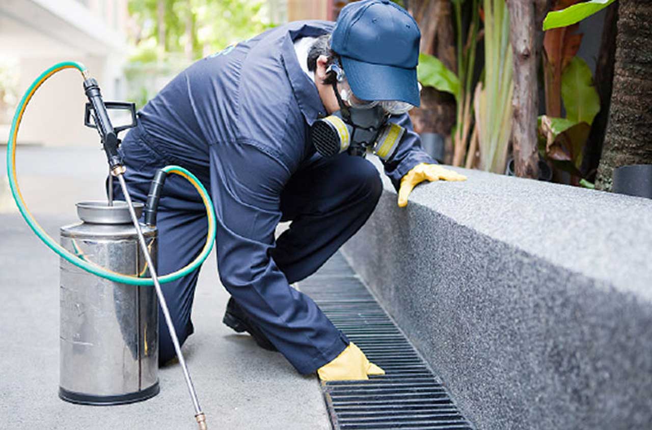 Mersin Bozyazı İlaçlama 